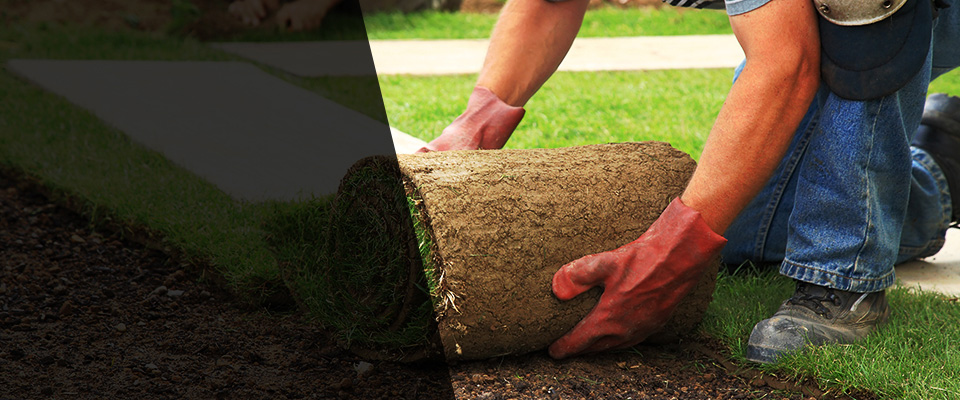 Santa Ynez Landscapers